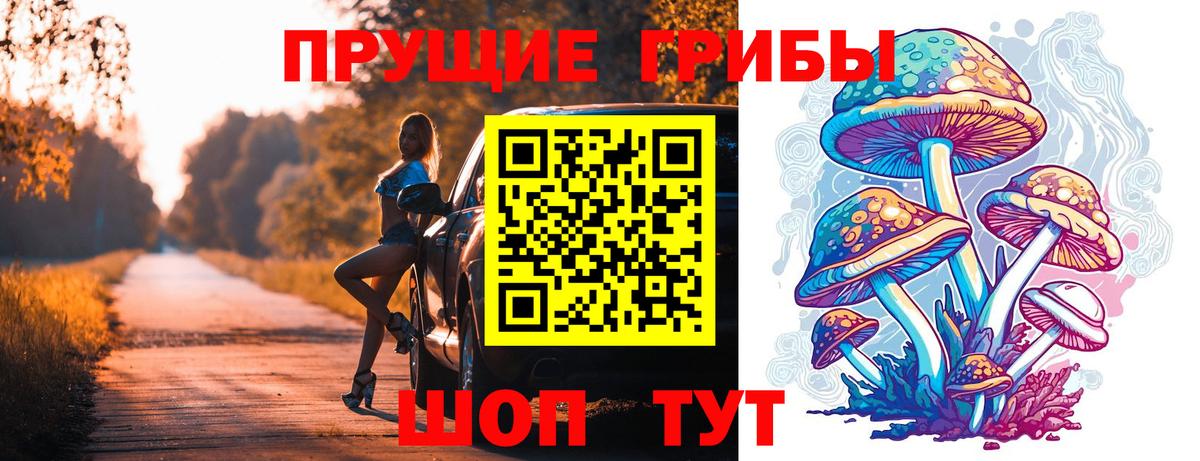 Галлюциногенные грибы прущие грибы  Псилоцибиновые грибы Cubensis  Вход с VPN  Вятские Поляны 