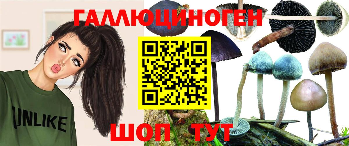 Псилоцибиновые грибы GOLDEN TEACHER Вятские Поляны